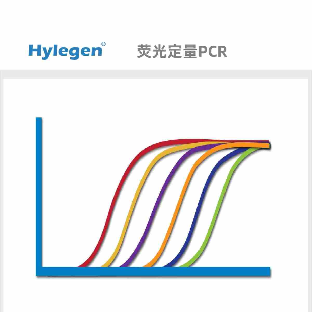 荧光定量PCR