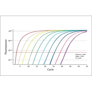 实时荧光PCR | 内标定量与外标定量的差异