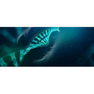 重磅！第三代ARMS PCR技术问世，助力PCR试剂盒高效开